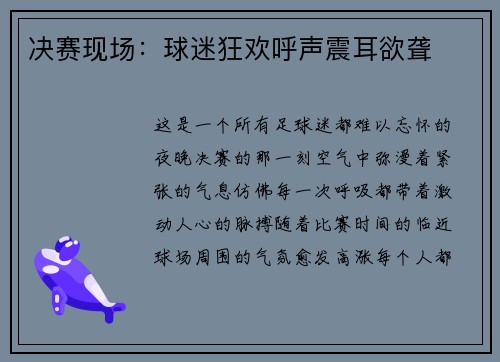 决赛现场：球迷狂欢呼声震耳欲聋